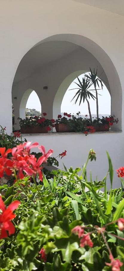 Qvattro Stagioni Panoramic Suites Agropoli Exterior foto