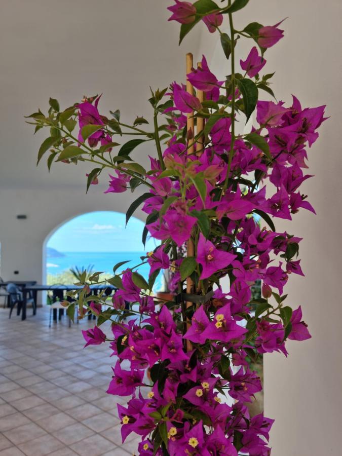 Qvattro Stagioni Panoramic Suites Agropoli Exterior foto